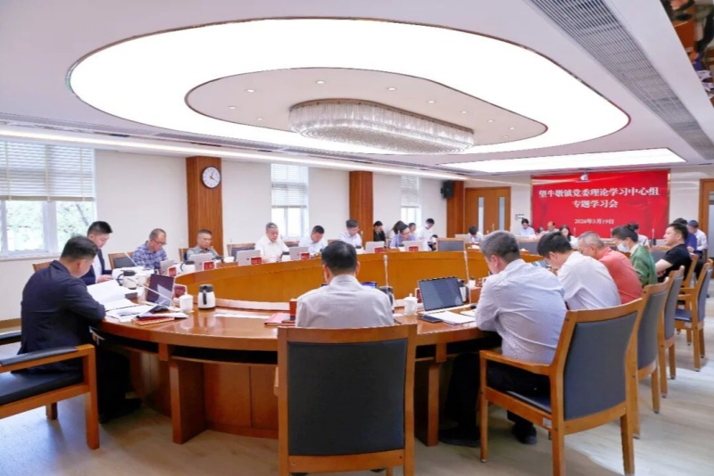 望牛墩镇党委理论学习中心组举行专题学习会