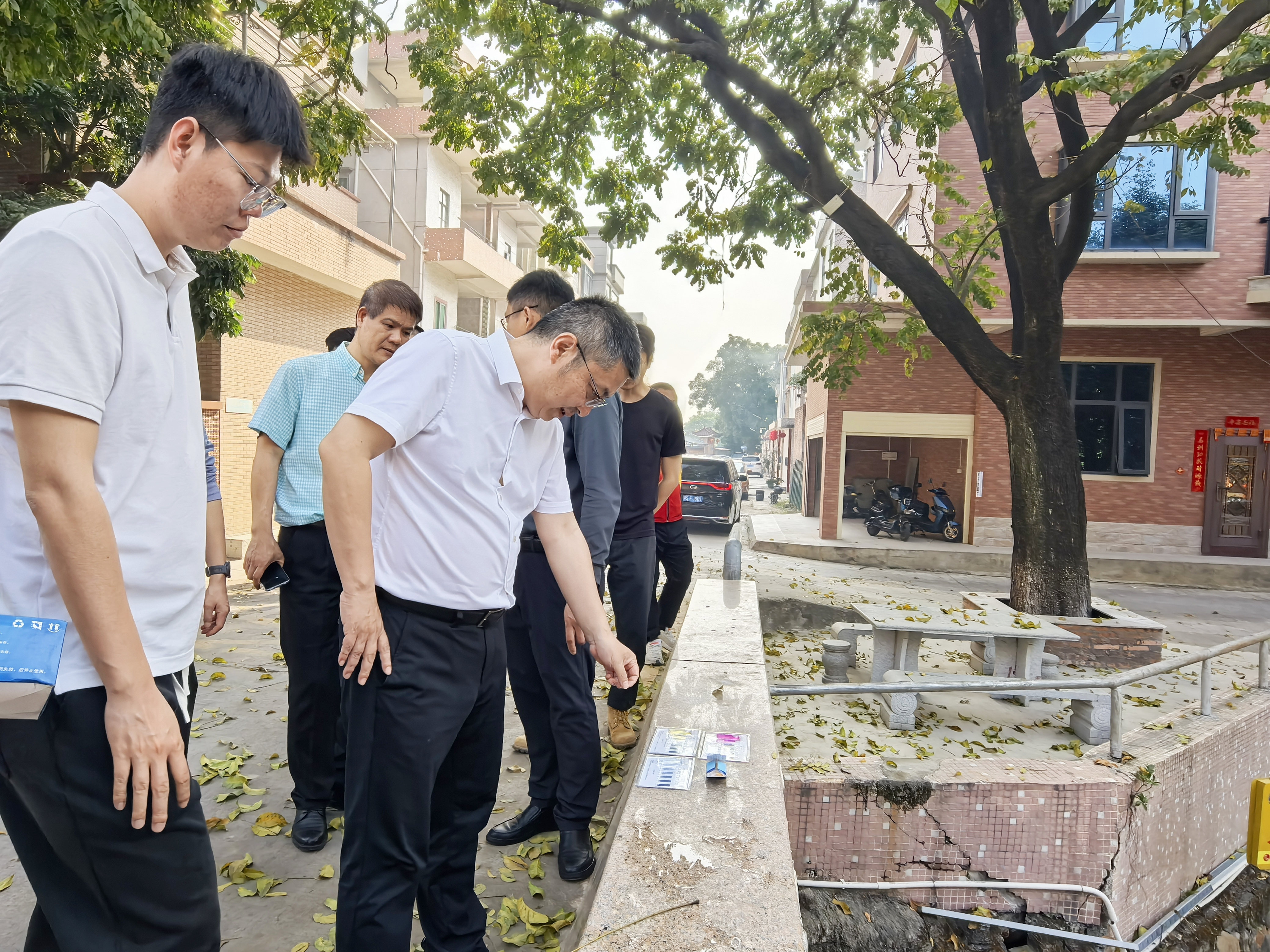 市生态环境局到望牛墩镇督导水污染治理工作