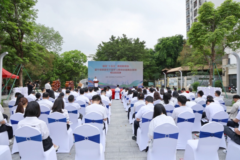 奋进&ldquo;十五五&rdquo;勇担新使命 望牛墩镇举办青年干部学习贯彻全国两会精神宣讲交流活动