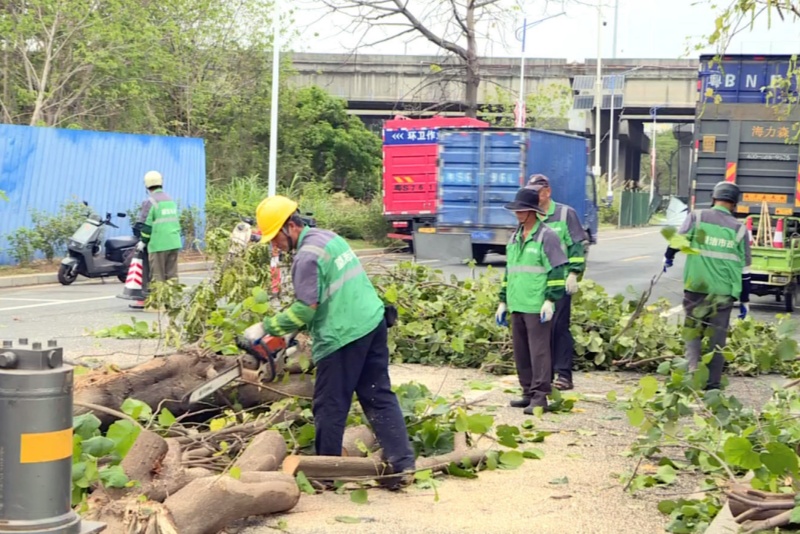 汛期临近雷雨频发 望牛墩城管提前备战筑牢城市防汛屏障