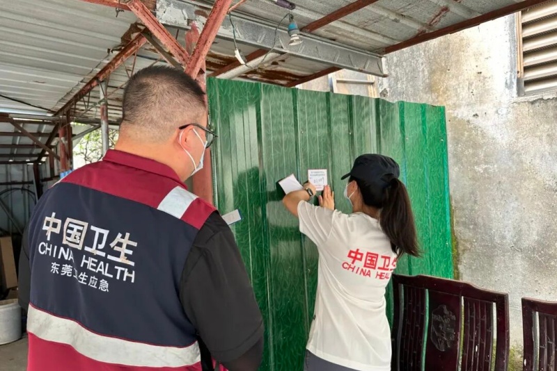 筑牢健康防线 望牛墩布放诱蚊诱卵器 精准监测蚊媒密度