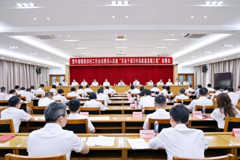 望牛墩镇召开镇委农村工作会议暨深入实施&ldquo;百县千镇万村高质量发展工程&rdquo;部署会