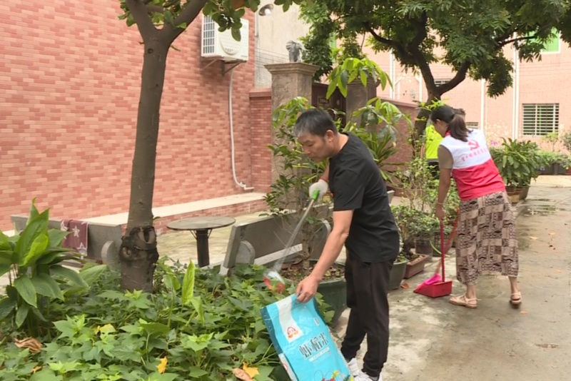 灭蚊防控 全民行动！望牛墩镇持续开展爱国卫生统一行动和灭蚊消杀行动