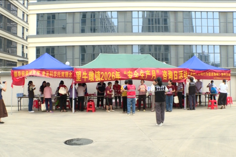 全域文明|望牛墩：多部门联动举办&ldquo;安全生产月&rdquo;咨询日暨&ldquo;文明集市&rdquo;活动 零距离科普安全知识