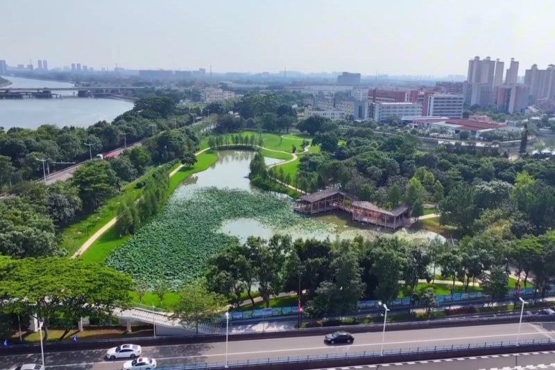 望牛墩水乡公园即将华丽&ldquo;变身&rdquo;