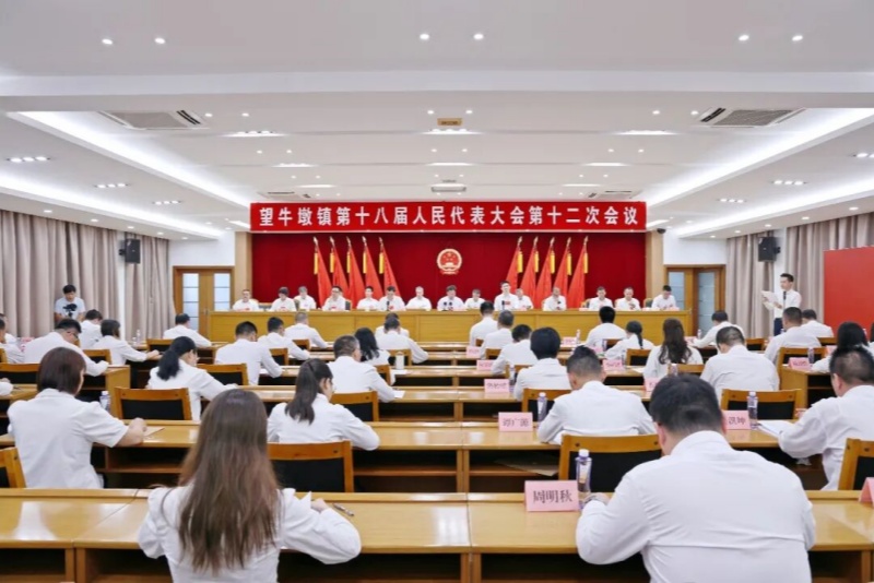 王晖全票当选望牛墩镇人大主席  白桦、朱元锋、周贤全票当选望牛墩镇人民政府副镇长