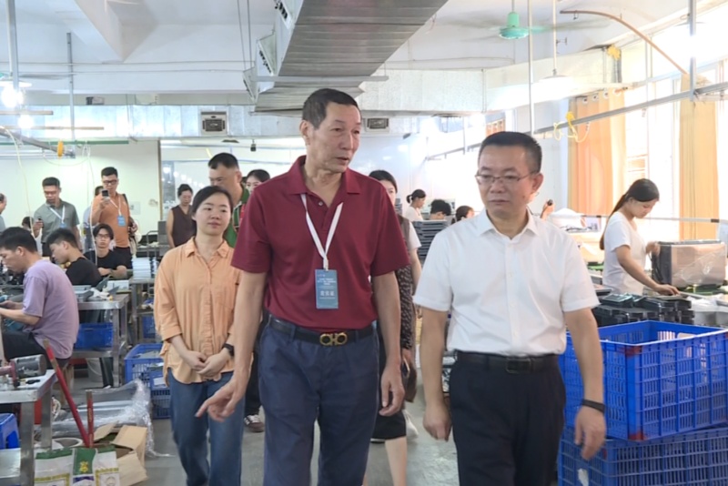 共拓跨境经贸合作新机遇 东盟国家华商组团走进望牛墩家电制造企业