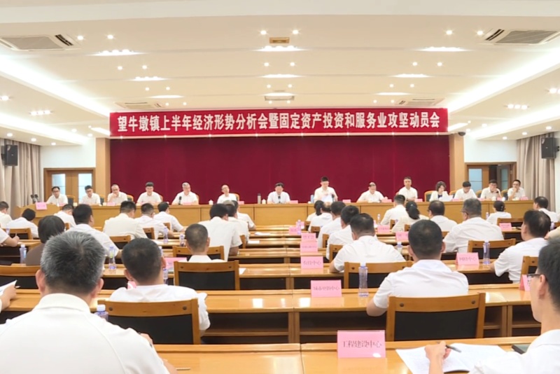 望牛墩镇召开上半年经济形势分析会暨固定资产投资和服务业攻坚动员会