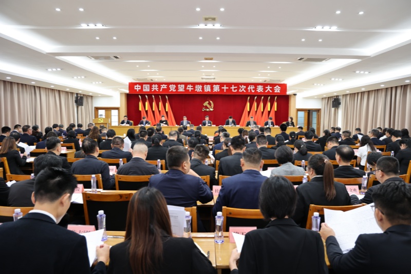 全面建设&ldquo;智造新枢、幸福望溪&rdquo;！中国共产党望牛墩镇第十七次代表大会开幕