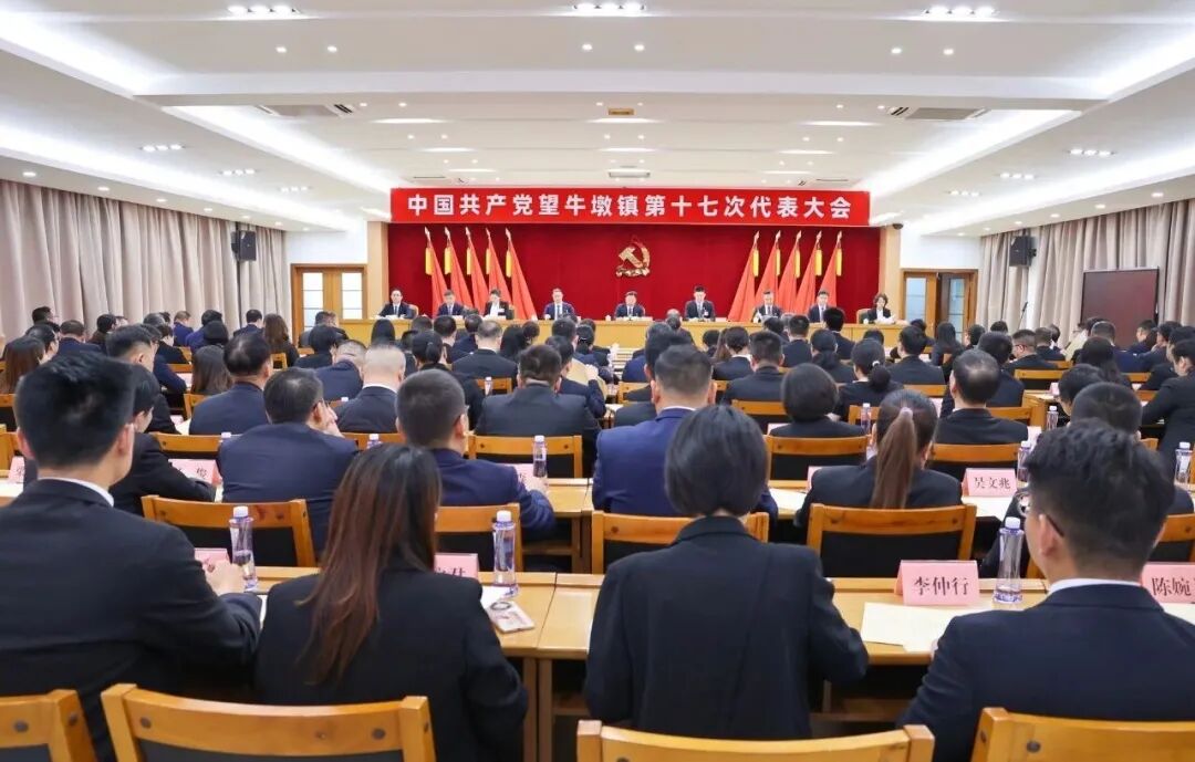 中国共产党望牛墩镇第十七次代表大会闭幕，选举产生新一届镇党委、镇纪委班子