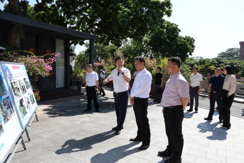 市&ldquo;百千万工程&rdquo;片区现场推进会走进望牛墩